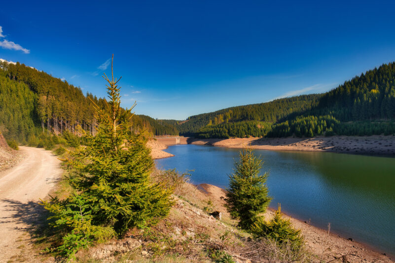 Niedrigwasser in der Talsperre Goldisthal in Thüringen. Rund 90 Prozent der Wasserressourcen verblieben zuletzt in der Natur.