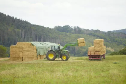 Hagel, Sturm, Fraßschäden: Landwirte hoffen auf bundesweit einheitliche Versicherung