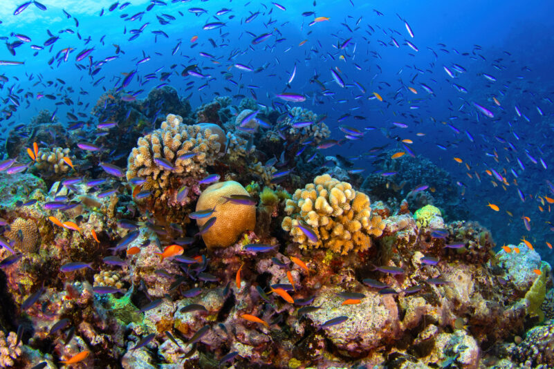 Great Barrier Reef