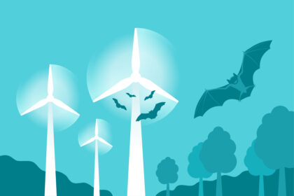 Millionen Tote für den Klimaschutz: Warum Fledermäuse oft Opfer von Windrädern werden