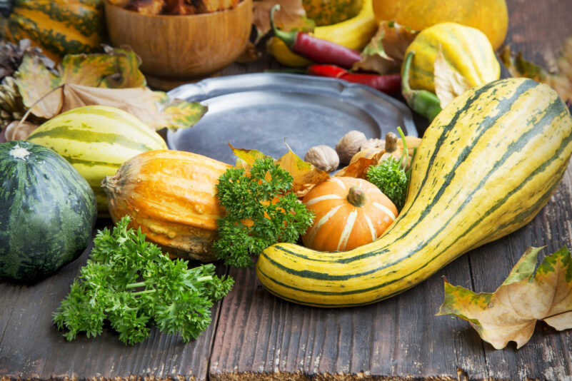 Das Gift auf meinem Teller – warum der Verzehr von Bitterstoffen in Zucchini tödlich enden kann