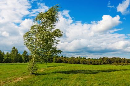 Herbstlied – von Friedrich Rückert