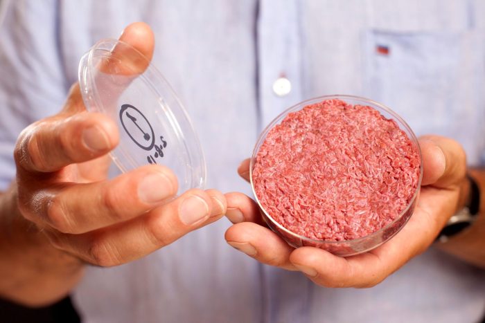 Professor Mark Post von der Universität Maastricht zeigt 2013 künstliches Fleisch aus dem Labor in einer Petrischale. (Archivbild)