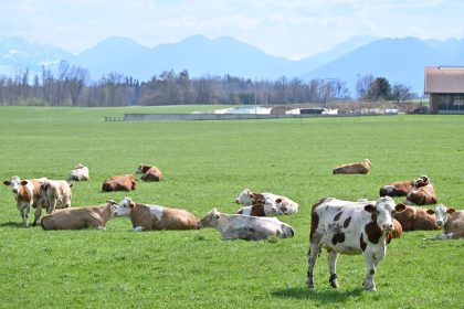Agrarminister fordert Ernstfall-Übungen auch für Bauernhöfe