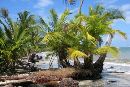 Mutmaßlich zwei Deutsche in Costa Rica tot aufgefunden