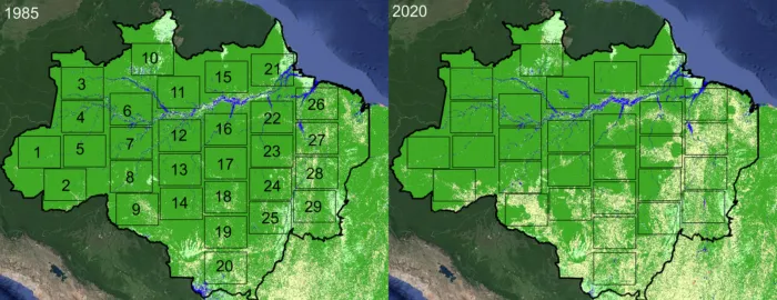 Räumliche Verteilung der Wald- (grün) und Nichtwaldflächen (beige) im brasilianischen Amazonasgebiet