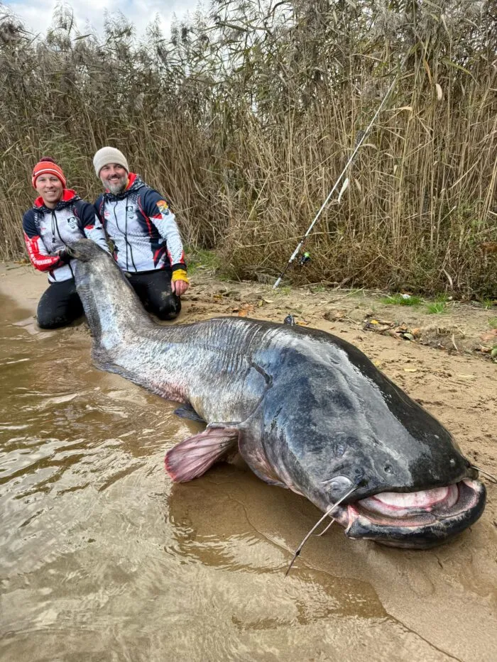 Zwei Angler in Polen haben einen fast drei Meter langen Wels gefangen. (Foto Handout)
