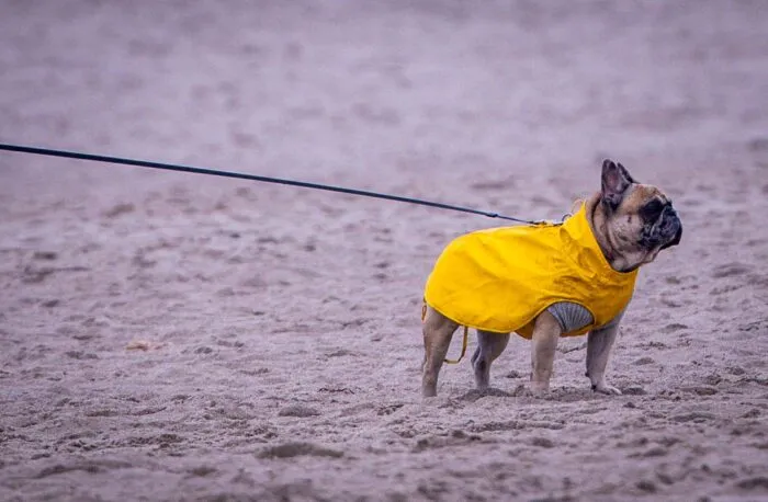 Am Freitag soll laut DWD ein stürmischer Südwestwind dichte Regenwolken über das Land peitschen.