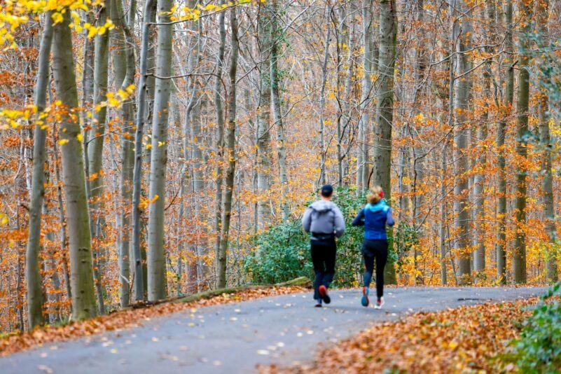 Wenn sich der Nebel lichtet, wird es in vielen Teilen Deutschlands sonnig.
