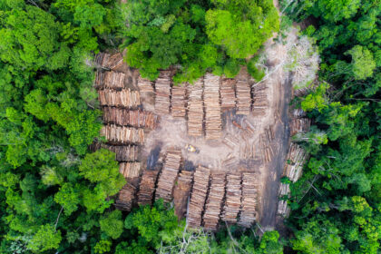 Kein Regen ohne Wald: Abholzung des Amazonas fördert Trockenheit