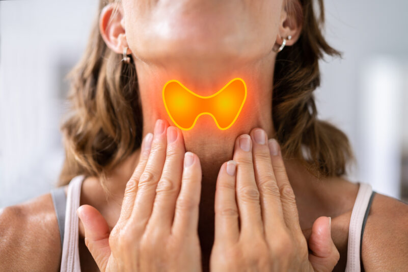 Die Schilddrüse ist ein kleines Organ im Halsbereich, das den menschlichen Stoffwechsel steuert.