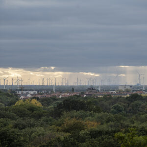 Windpark statt Naturpark Dübener Heide: „Tun Sie das unserer Heimat nicht an“