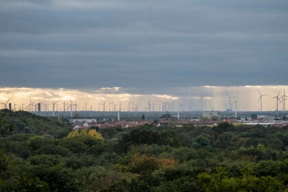 Windpark statt Naturpark Dübener Heide: „Tun Sie das unserer Heimat nicht an“
