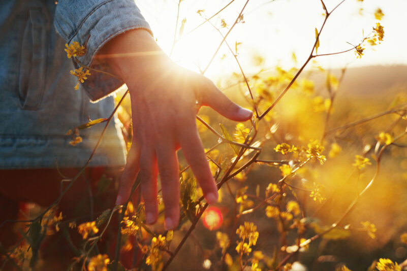 Du musst das Leben nicht verstehen – von Rainer Maria Rilke