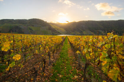 Goldener Oktober: Wein genießen und die Seele baumeln lassen