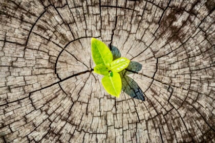 „Sanft entschlafen“ oder „ins Gras gebissen“ – Beschreibungen für das Sterben und den Tod