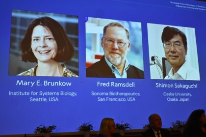 Medizin-Nobelpreis für drei Immunforscher aus Japan und den USA