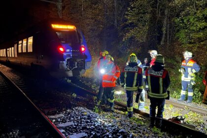 Sturmtief über Deutschland – Bäume stürzen um