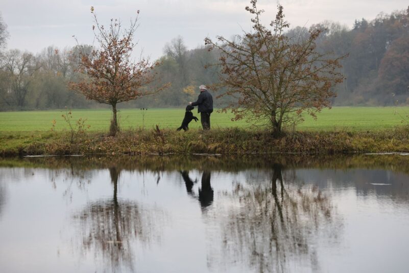 Mit dem Hund an der Donau spielen.