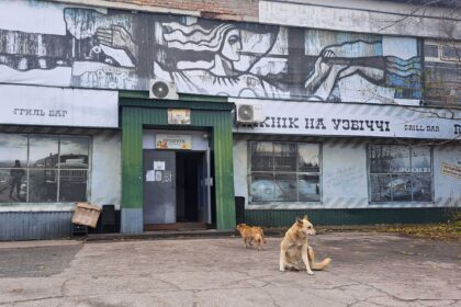 Rätsel um blaue Hunde in Tschernobyl ist gelöst