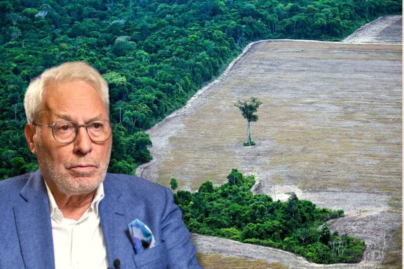 Der Schutz des Regenwaldes soll einer der zentralen Punkte auf der UN-Klimakonferenz COP30 in Belem, Brasilien, sein, für die im Vorfeld große Flächen Regenwald abgeholzt wurden, unter anderem für den Bau einer vierspurigen Autobahn für die Konferenzteilnehmer.