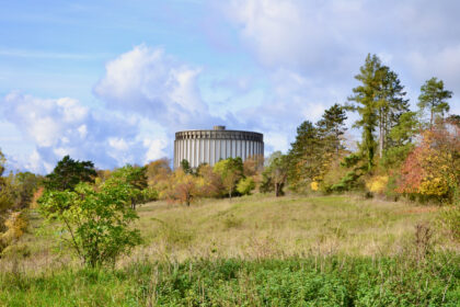 „Ein bisschen verrückt muss man schon sein“