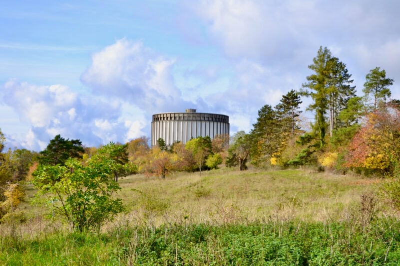 „Ein bisschen verrückt muss man schon sein“