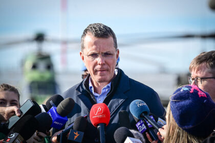 Rumäniens Verteidigungsminister tritt nach „Fehler“ im Lebenslauf zurück