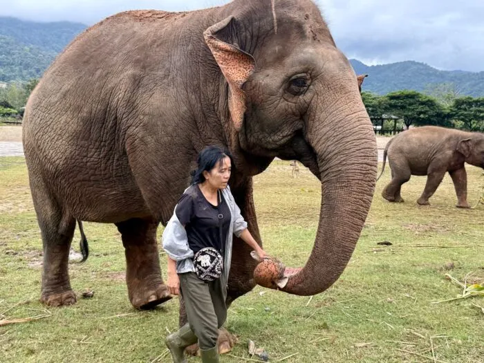 Lek ist für ihre Arbeit vielfach ausgezeichnet worden.