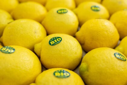 Biolebensmittel sind so gefragt wie nie