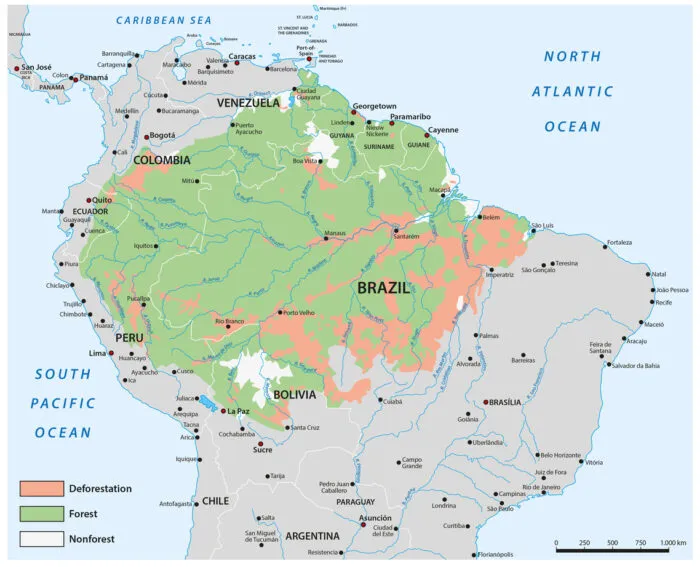 Belem liegt einem Gebiet großflächiger Rodung des Amazonasregenwaldes. Für die Klimakonferenz selbst wurden Tausende Hektar gerodet.