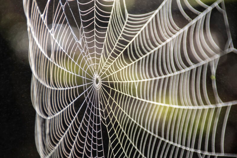 Das stabilste Seil der Welt