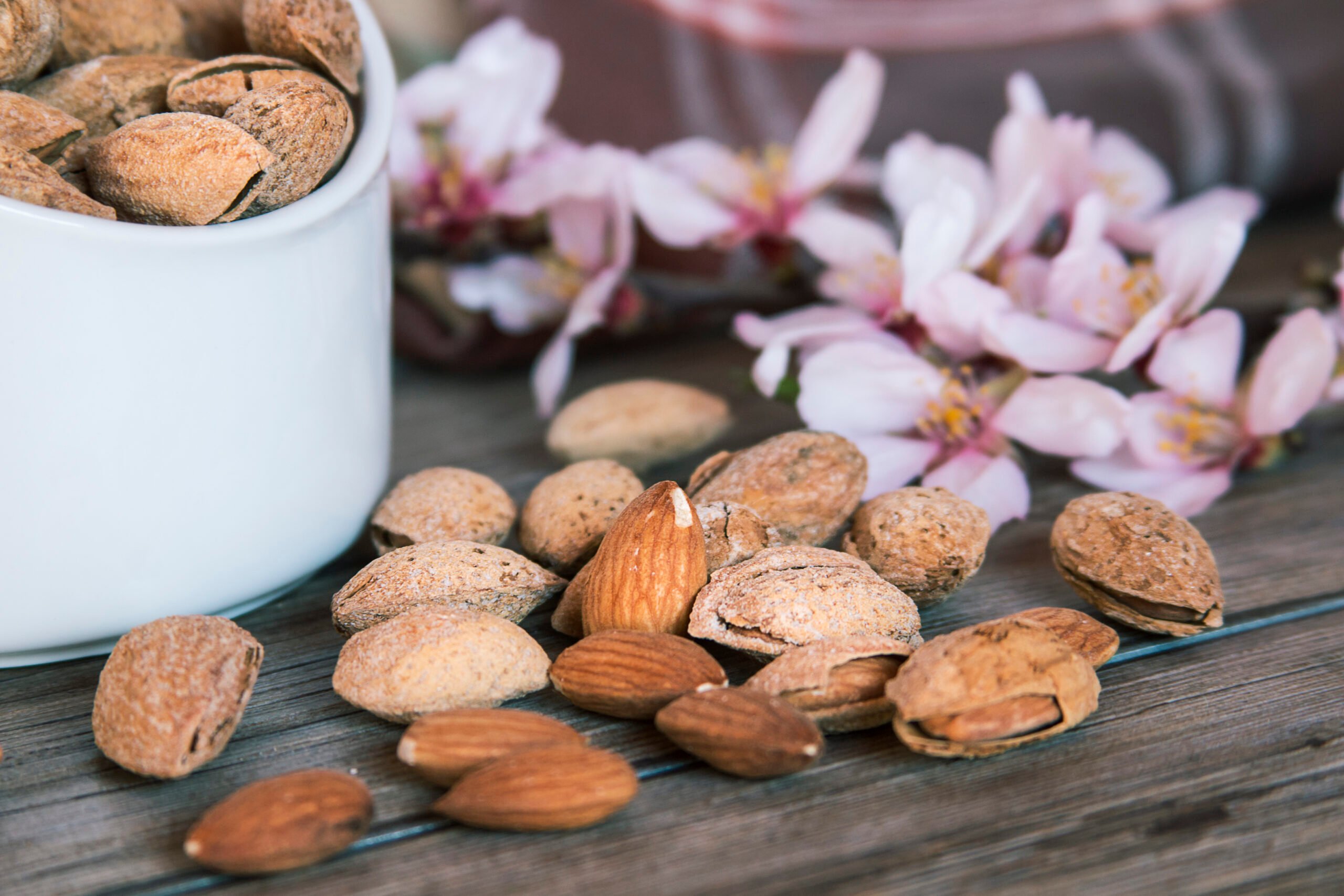 Ein-Hauch-von-Bittermandeln-wie-aus-Gefahr-ein-Genuss-wird