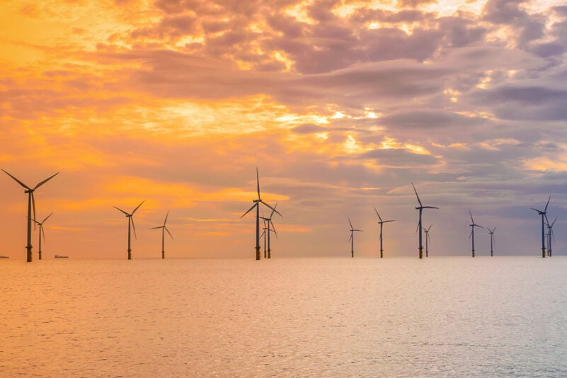 Studie: Offshore-Windparks erwärmen das Meer