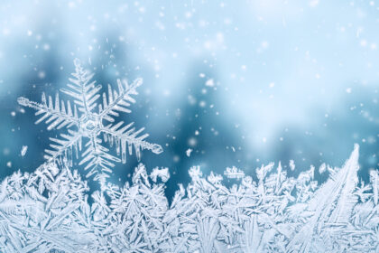 Der Schneefall – von Franz Werfel