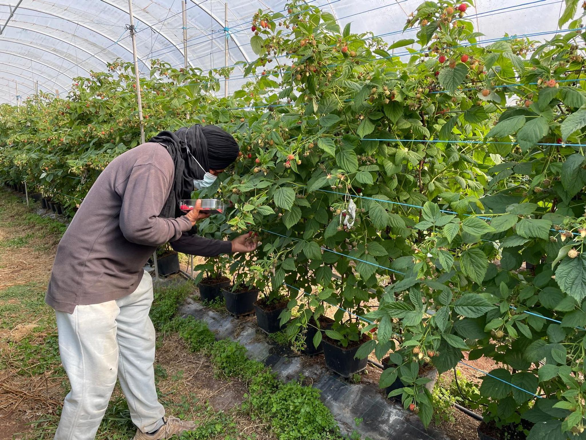 Portugal-Elf-Polizisten-wegen-Menschenhandel-festgenommen