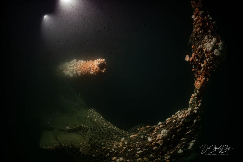 Die Tauchgänge fanden nach Angaben des Teams in großer Tiefe und unter herausfordernden Bedingungen statt.