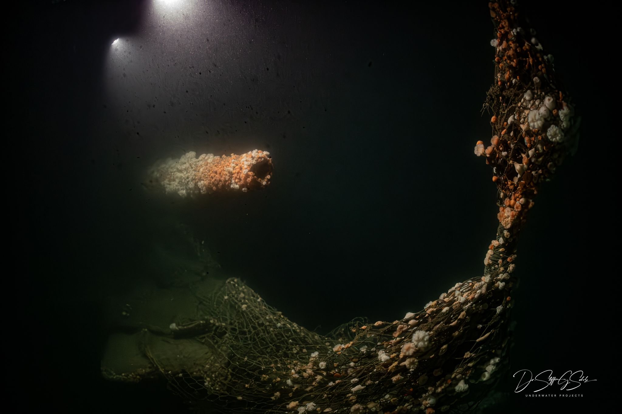 Von-deutschem-U-Boot-versenkt-Forscher-tauchen-zu-Wrack