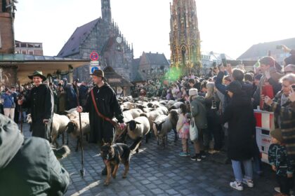 Hunderte Schafe ziehen mitten durch die Nürnberger Altstadt