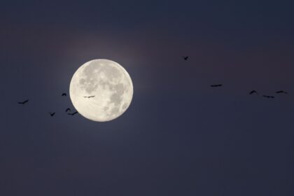 Letzter Vollmond des Jahres: Mythen und Fakten