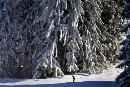 Weiße Weihnachten: Nur „die Zugspitze” hat mit Sicherheit Schnee