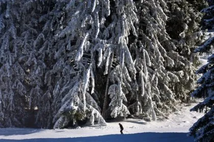 Weiße Weihnachten: Nur „die Zugspitze” hat mit Sicherheit Schnee