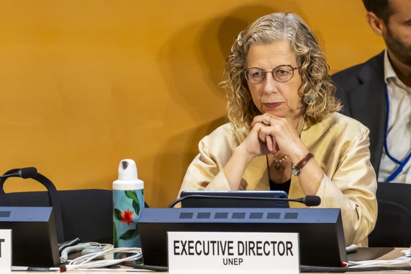 Inger Andersen, Exekutivdirektorin des UN-Umweltprogramms, stellte den globalen Umweltausblick vor. (Archivbild)