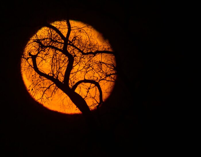 Nach dem kommenden Supermond findet der nächste in einem Jahr statt. (Archivbild)